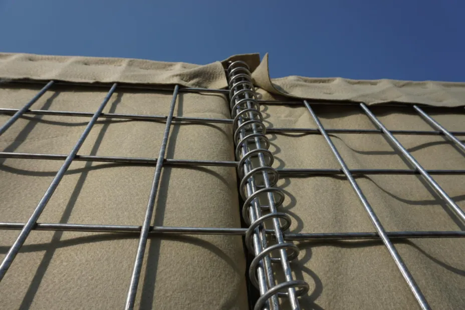 функсияи гузаштаи дуюм