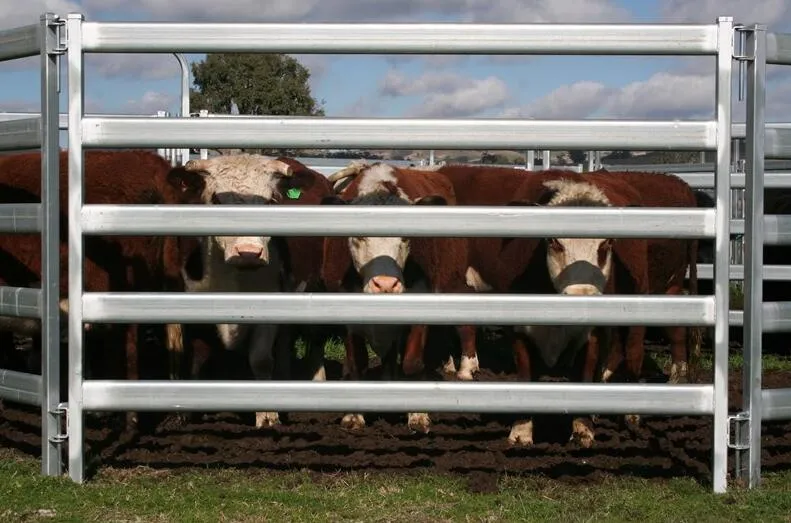small livestock panels