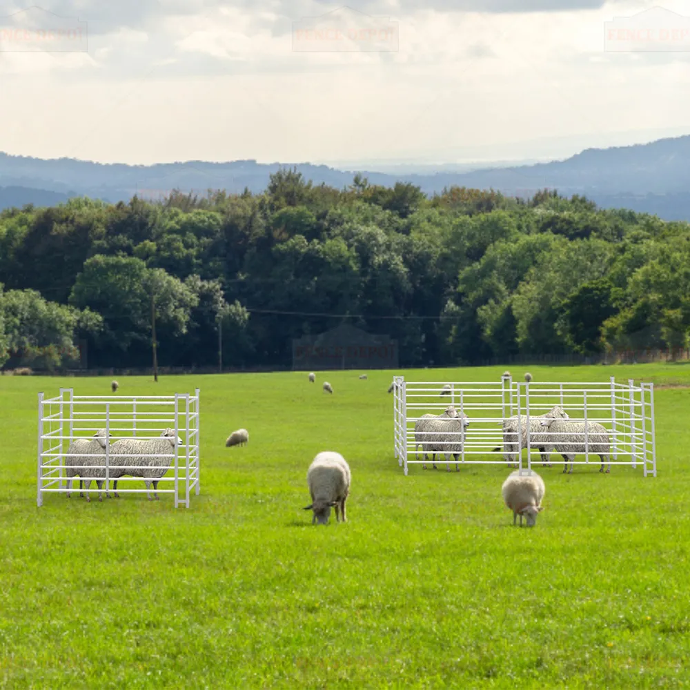 black cattle gates