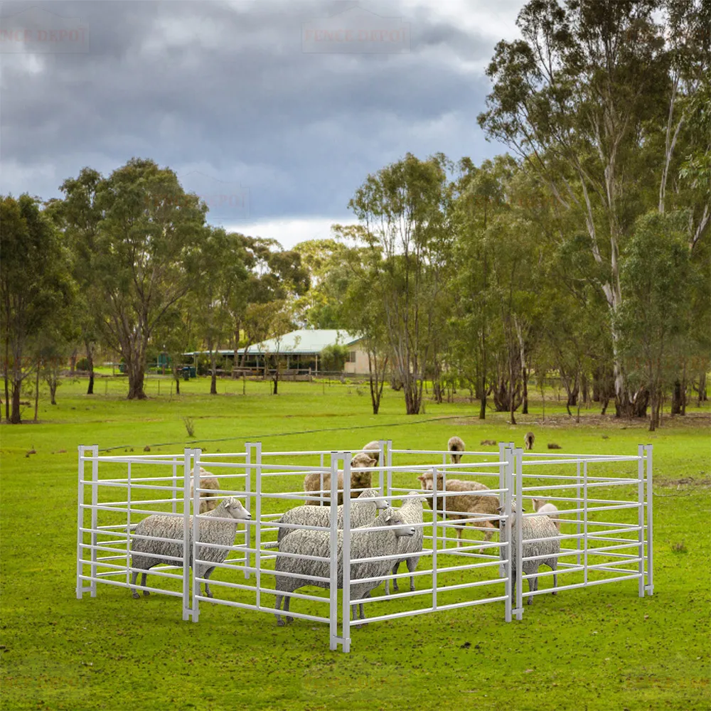 Galvanized Welded Wire Fence Mesh Rolls for Durable Outdoor Protection and Security Solutions