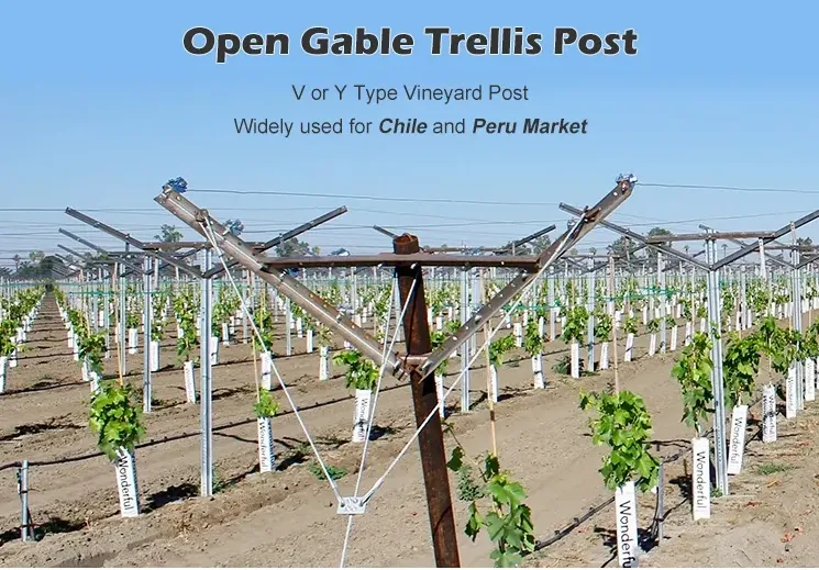 galvanized welded wire mesh panels