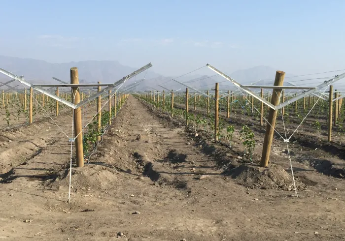 wholesale double wire fence