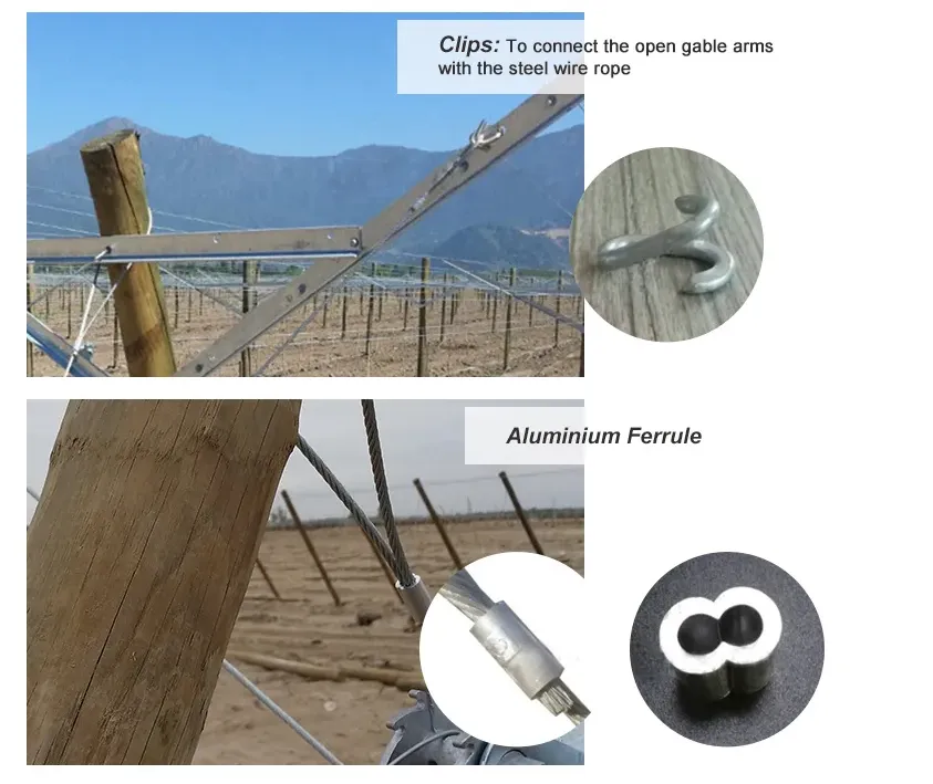 China dubbele draadgaashek een stijlvolle en duurzame omheining voor uw terrein