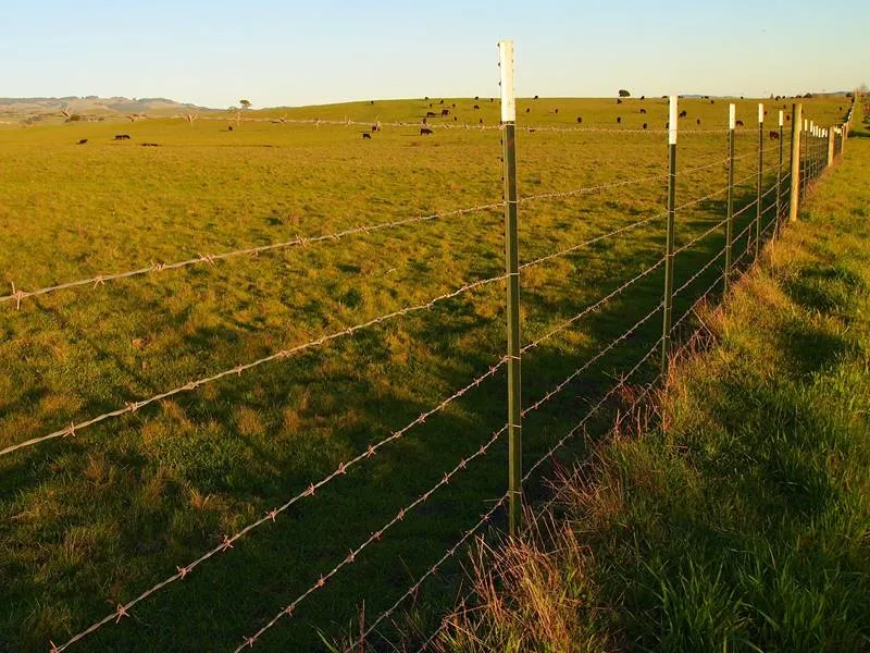 Durable and Versatile Galvanized Wire Mesh Fencing Solutions for Various Applications