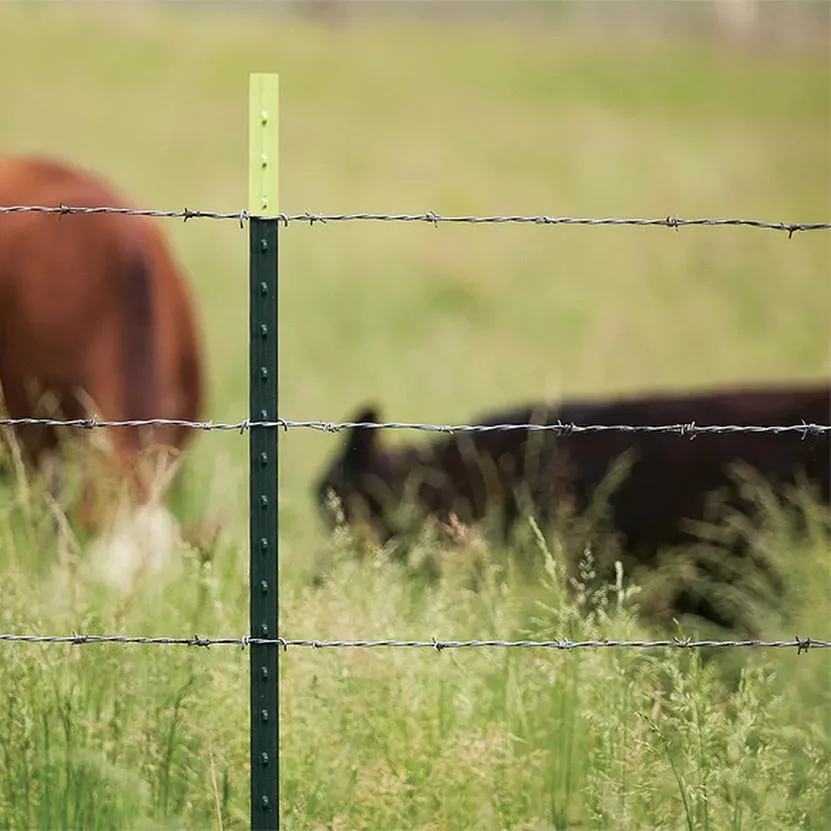 Essential Supplies for Effective Feedlot Fencing Solutions and Installation