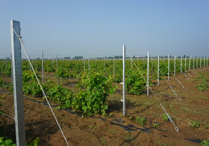 Mga Panel para sa Pakanin ng Mababang Hayop at Pagsasaka