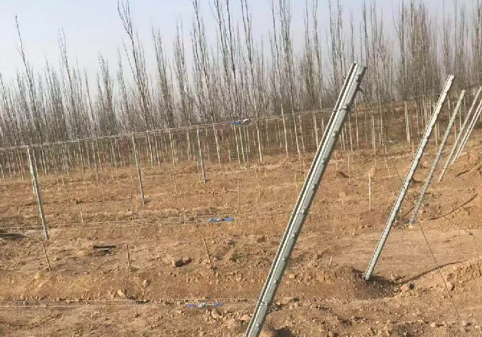 Welded Wire Mesh Specifications 6x6 W1.4 for Various Applications and Uses
