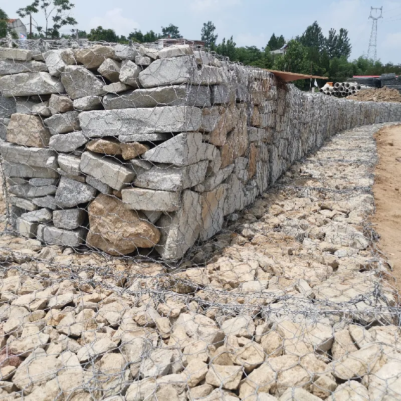 Durable 2x2 Welded Wire Mesh for Various Construction and Fencing Applications