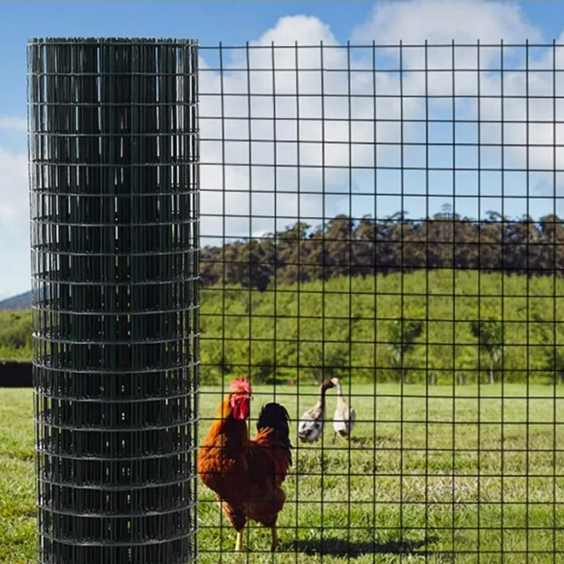 Affordable Portable Fencing Solutions for Temporary Needs and Events