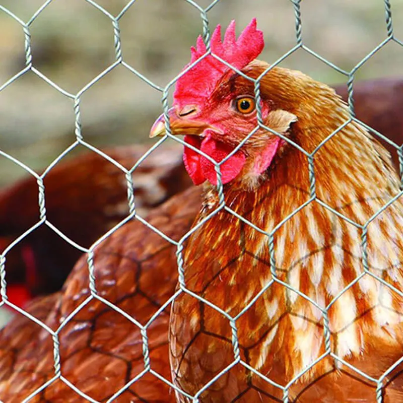 High-Quality Welded Wire Mesh Panels for Versatile Applications and Durable Solutions