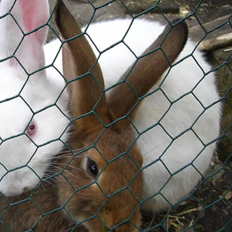 fox proof welded mesh