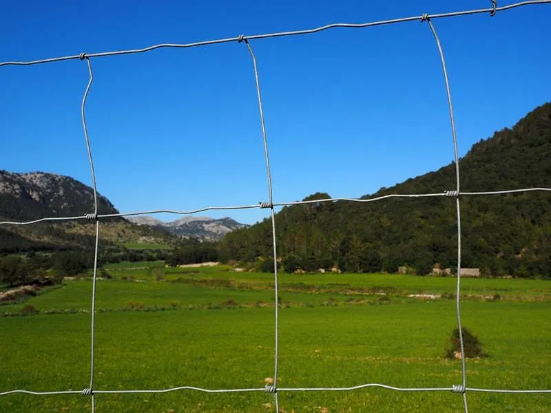 Effective Solutions for Sheep Hurdles and Fencing Design Considerations