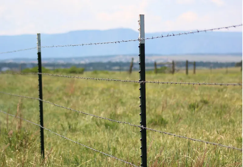 Durable 24 Inch Welded Wire Fence for Garden and Livestock Protection