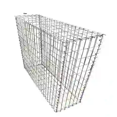 Gabion wall