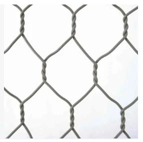 Beauty and Durability of Hexagonal Wire Mesh: A Versatile Choice for Any Environment