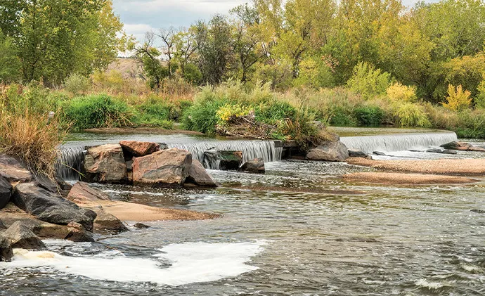 command hooks for cords