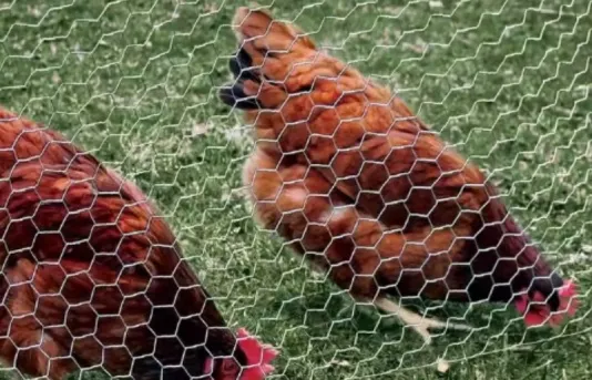 Durable Plastic Coated Wire Coat Hangers for Enhanced Clothing Organization