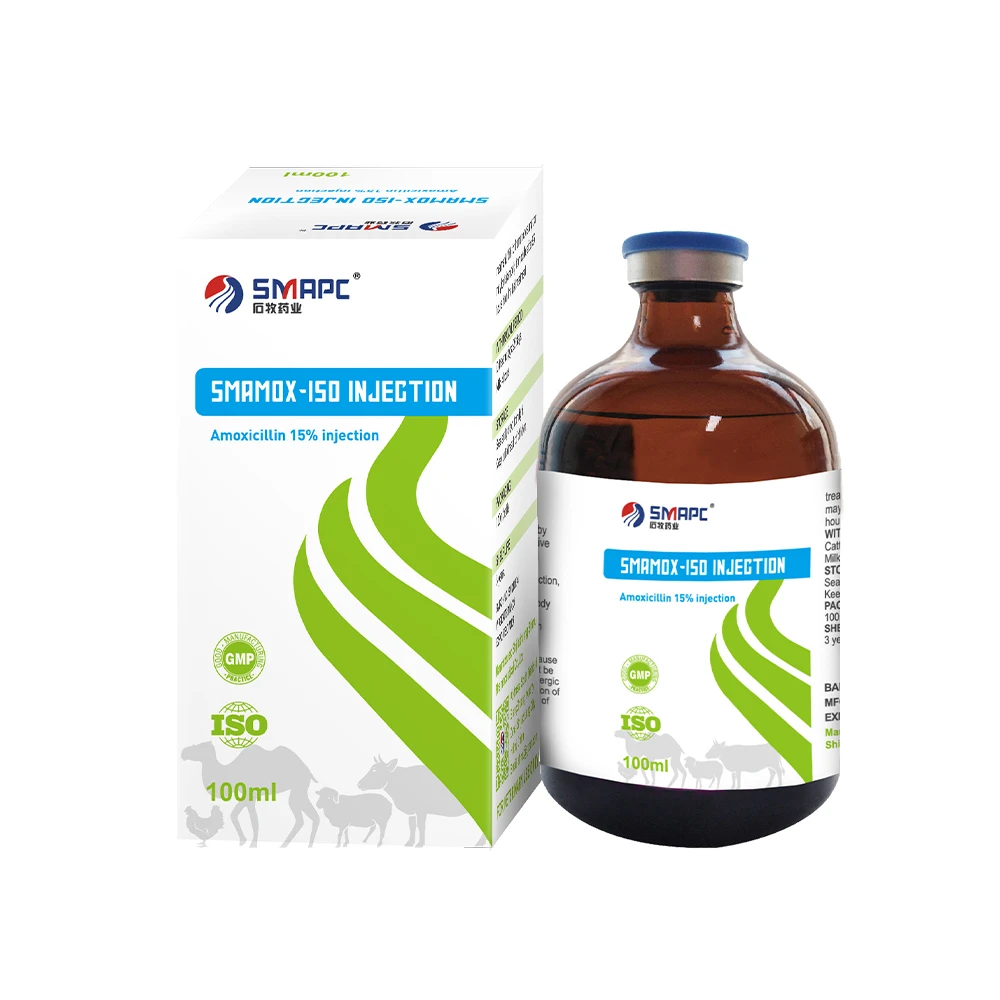 Decoding Amoxicillin-Clavulanate and Amoxicillin Injectable Formulations