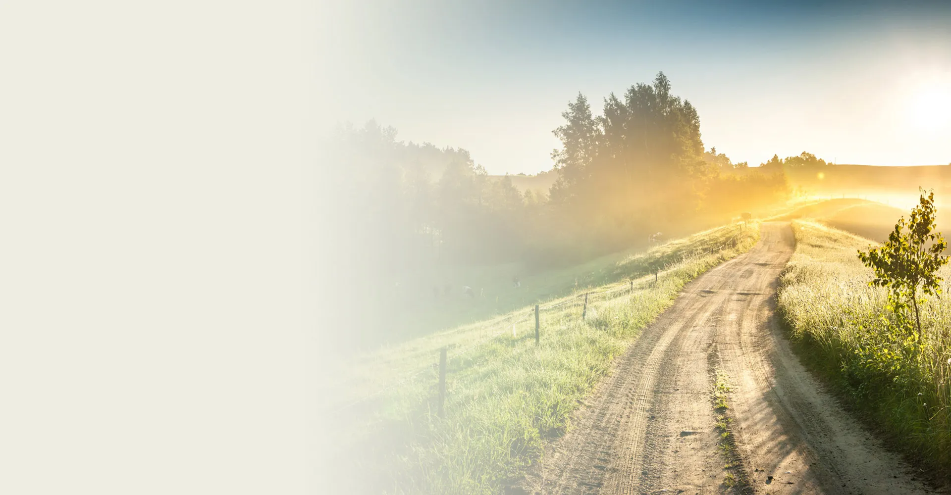 Exploring the Latest Innovations in Treatments for Cattle Fever and Related Diseases Exploring the Latest Innovations in Treatments for Cattle Fever and Related Diseases