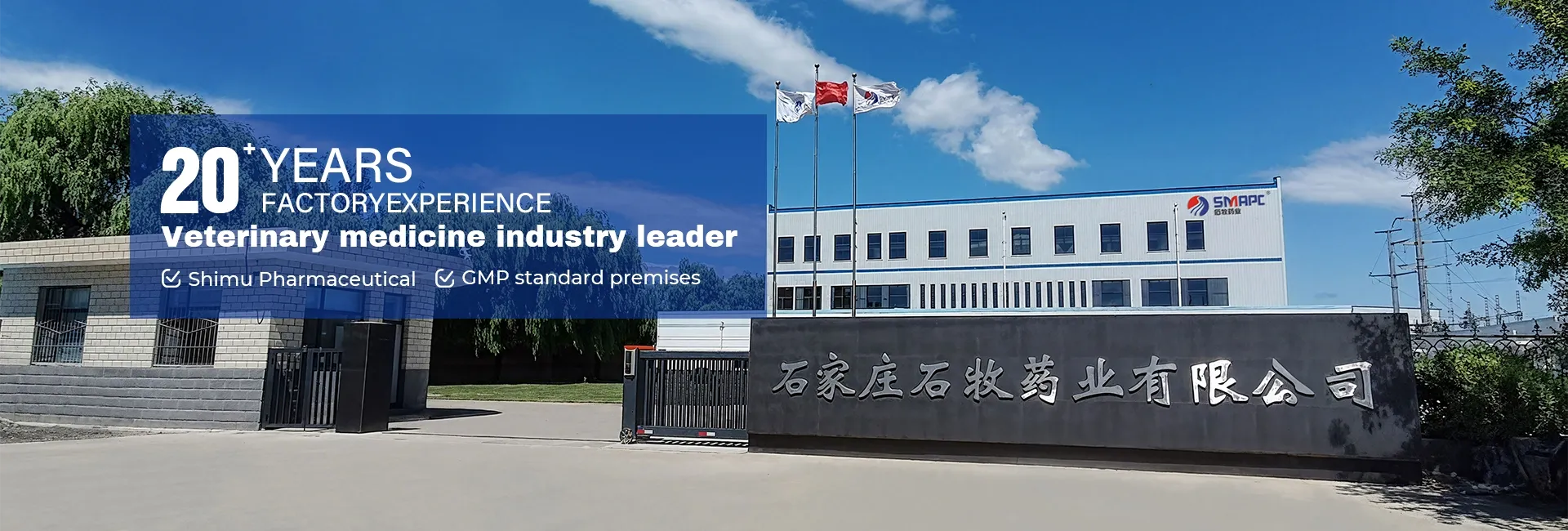 dog hotspot treatment