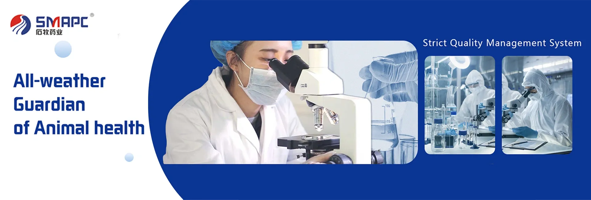 Exploring the Benefits of Using an Exclusive Expectorant for Respiratory Relief