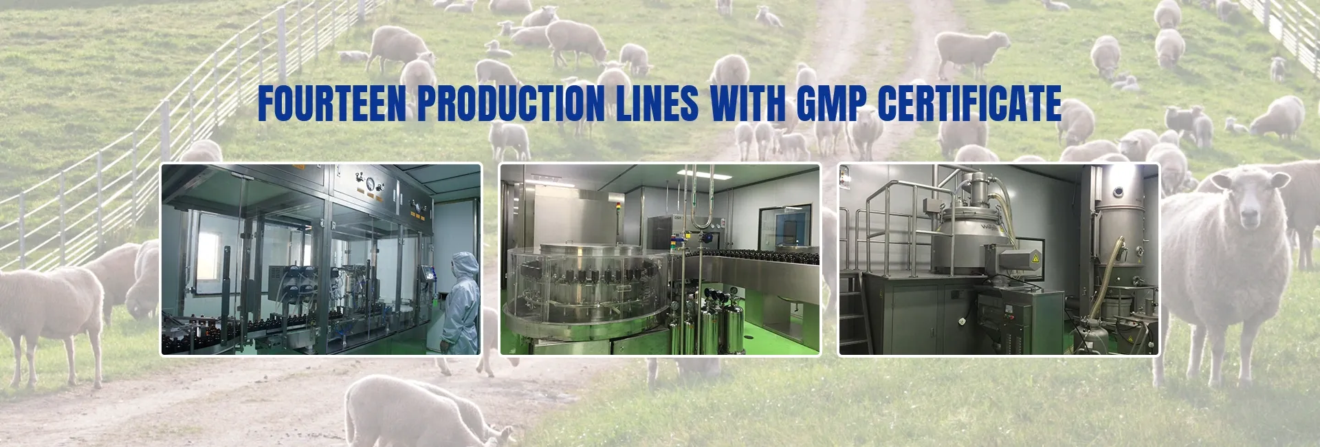 medicine for dog uti over the counter