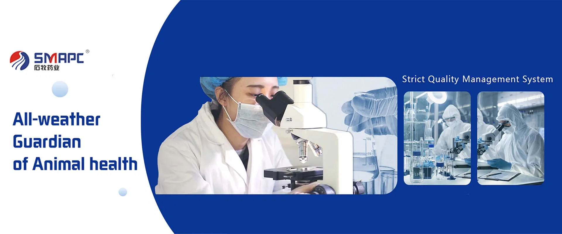 Puppy Medication for Car Sickness Relief and Travel Comfort