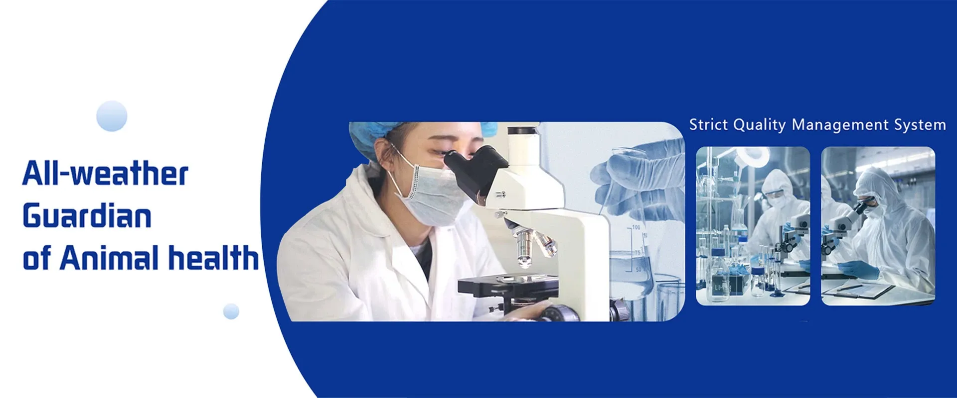 tick treatment for sheep