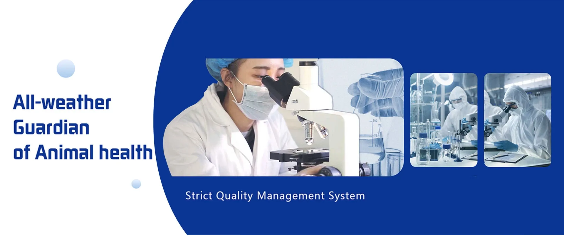 puppy worming medicine