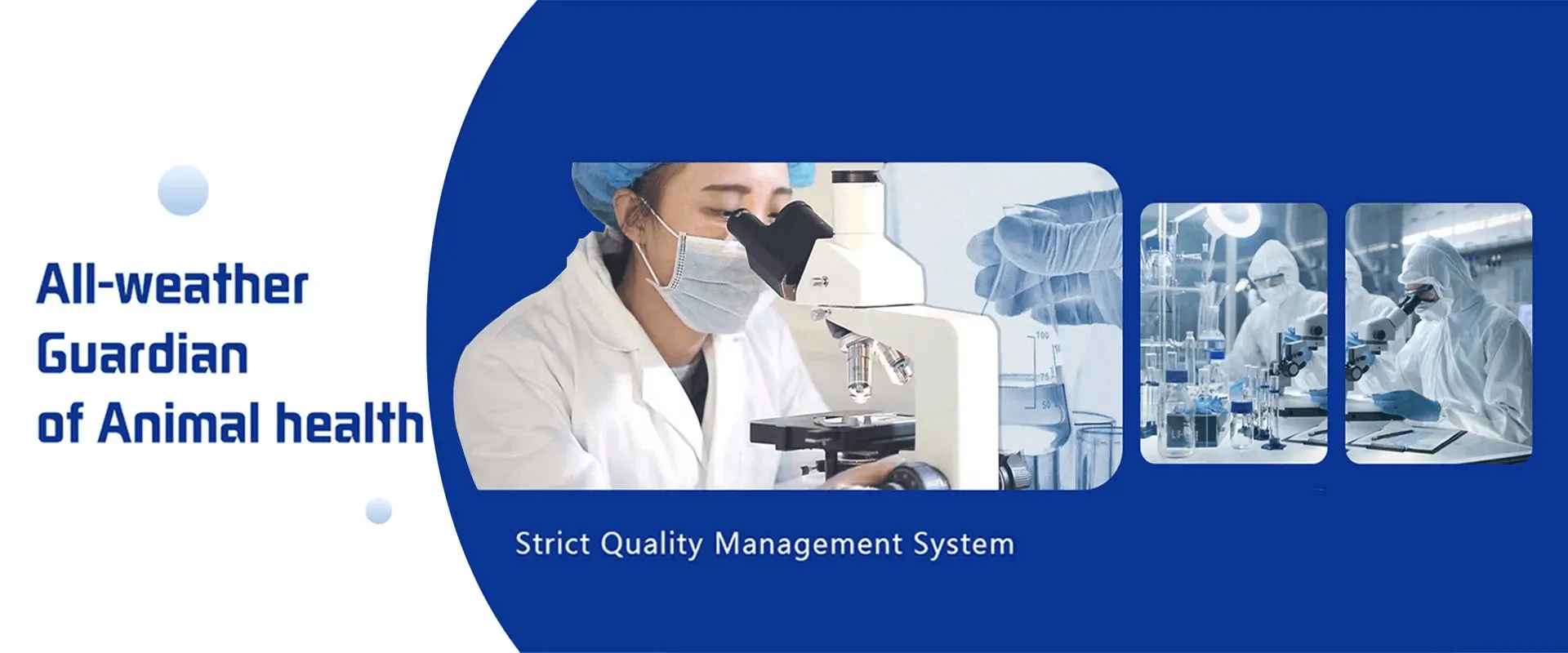 Effective Deworming Solutions for Pig Health and Growth Support in Livestock Farming Practices Effective Deworming Solutions for Pig Health and Growth Support in Livestock Farming Practices