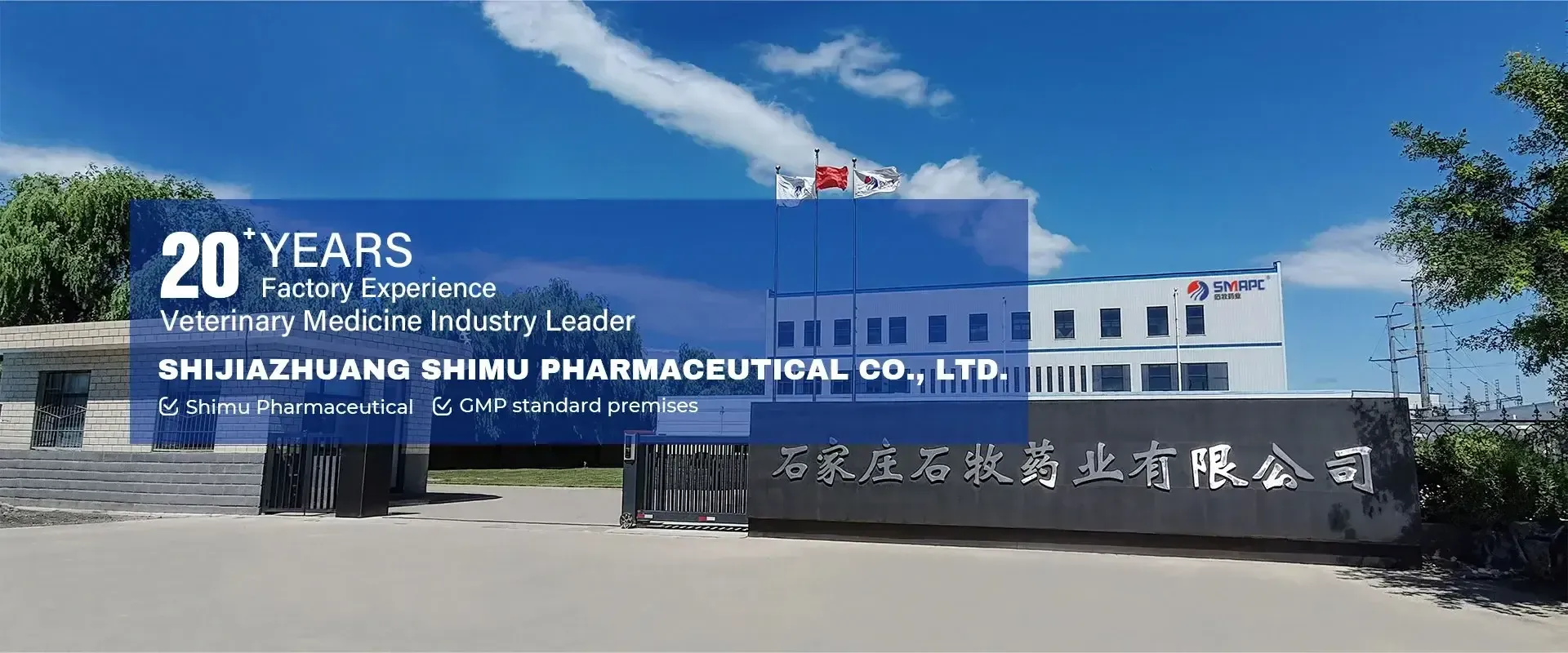 Manufacturers of Poultry Healthcare Solutions and Veterinary Products for Optimal Livestock Management