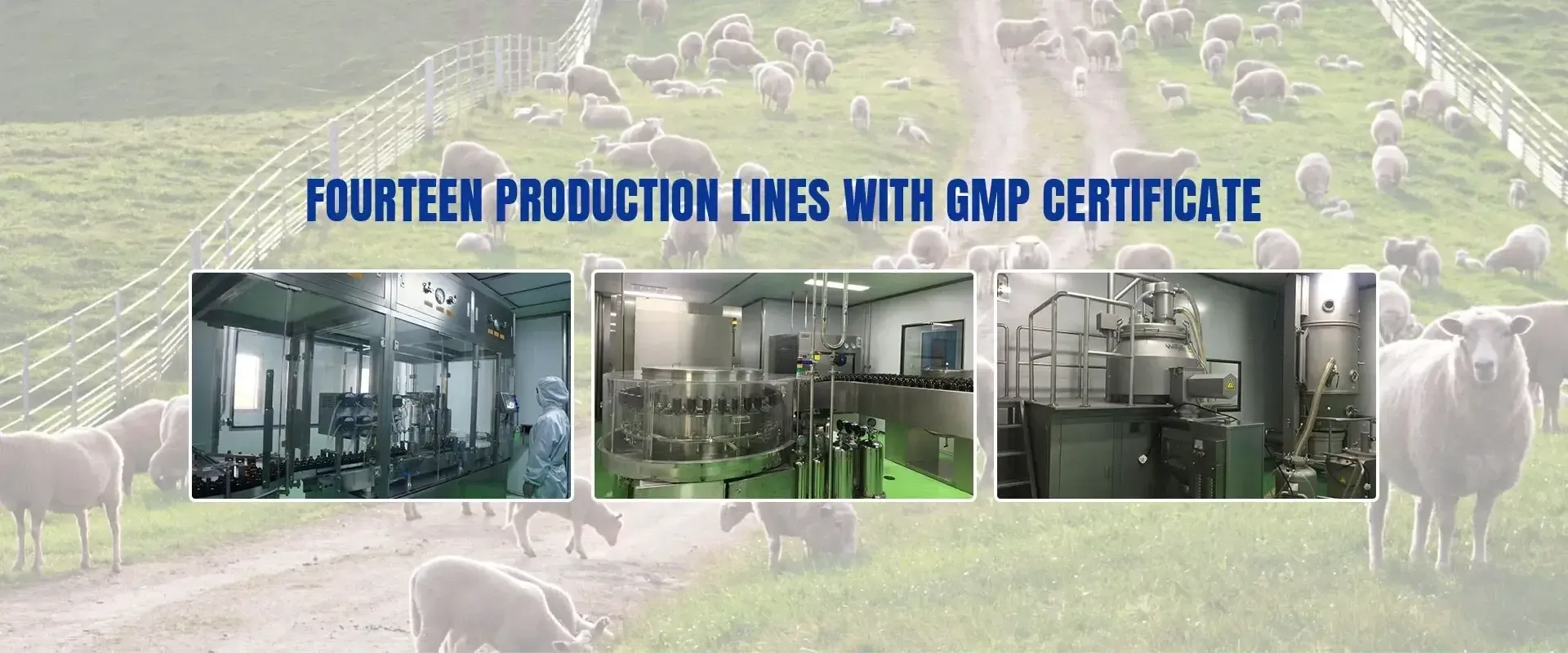 medicine for pink eye in cattle