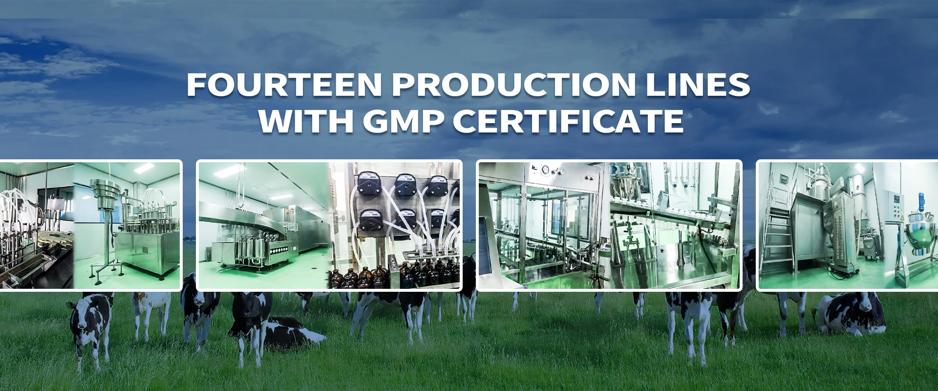 Read More About poultry medicine manufacturer