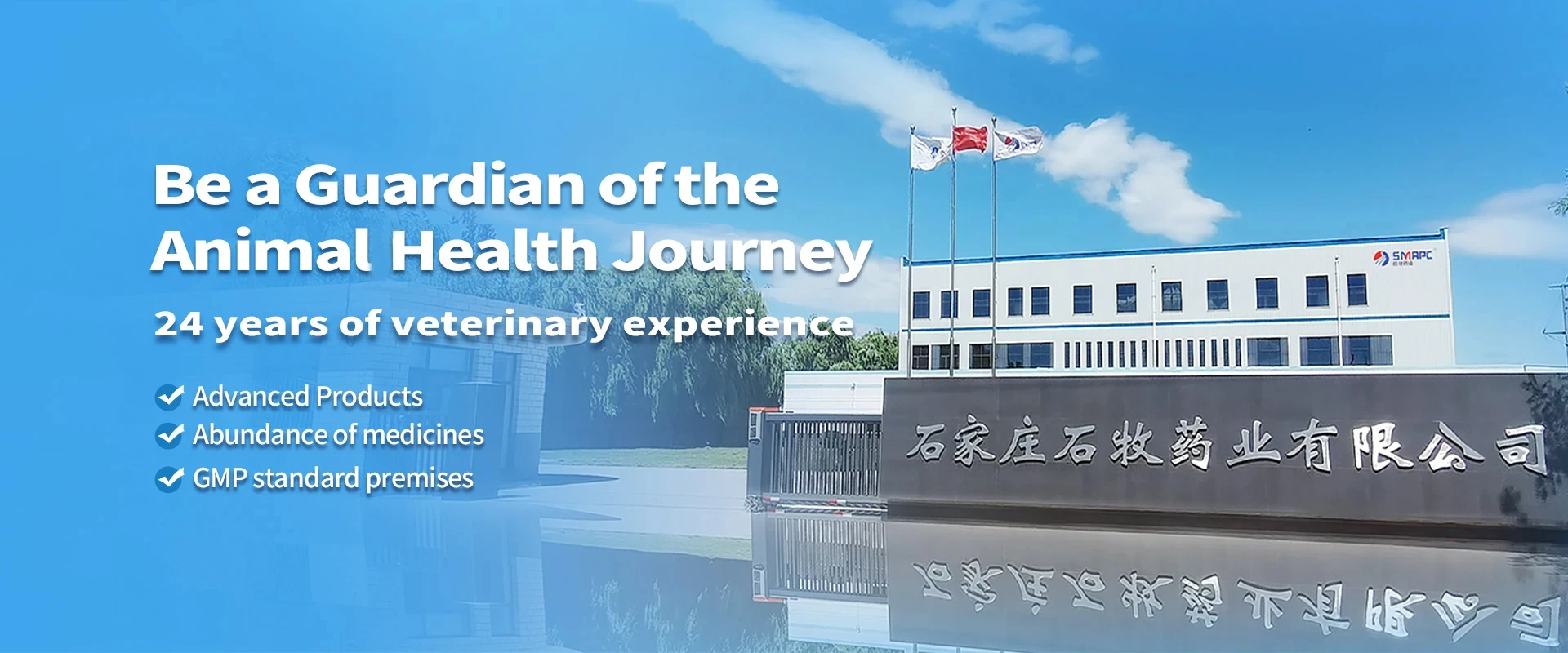 Read More About poultry medicine manufacturers