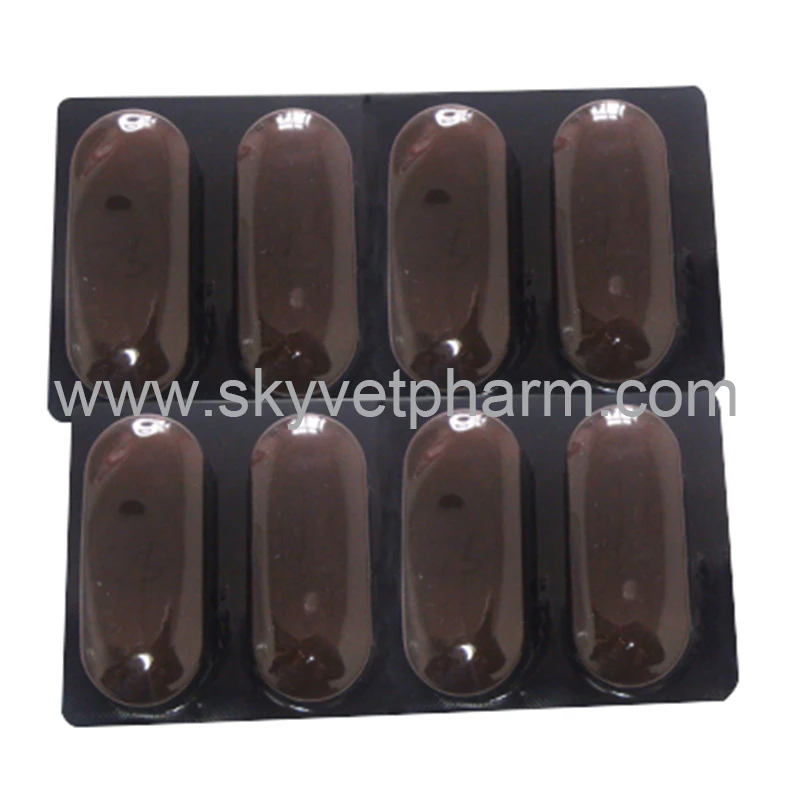 veterinary medicine veterinary injection list