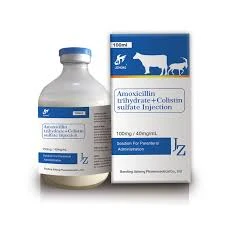 Types of Disinfectants Used in Veterinary Practice