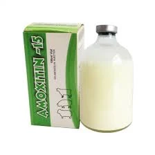 Approaches in Veterinary Care for Sheep Health Management and Treatment