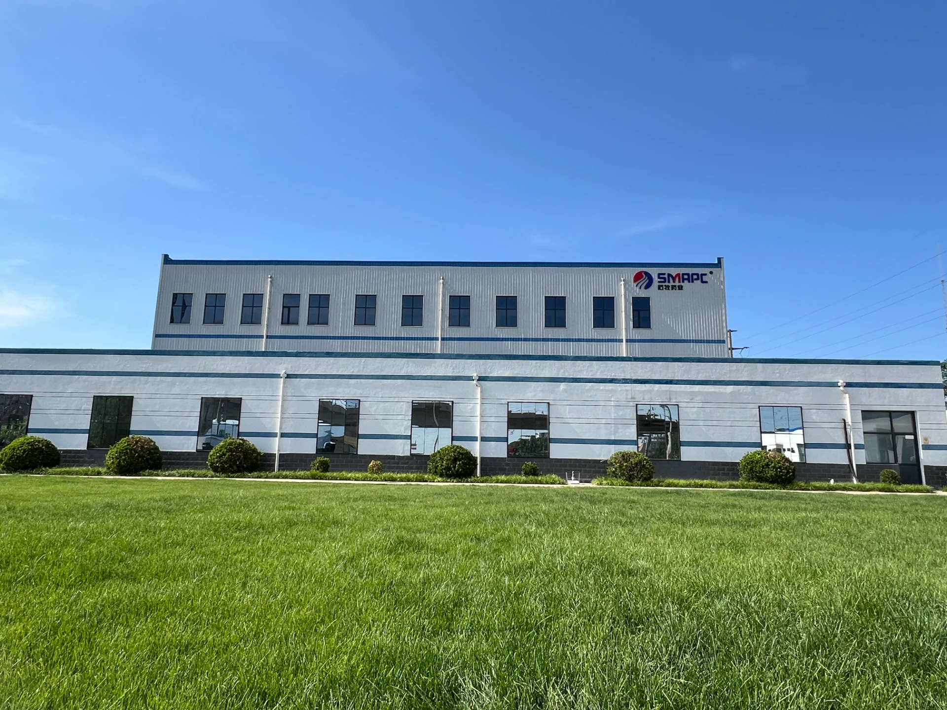 handbook of veterinary medicine pdf