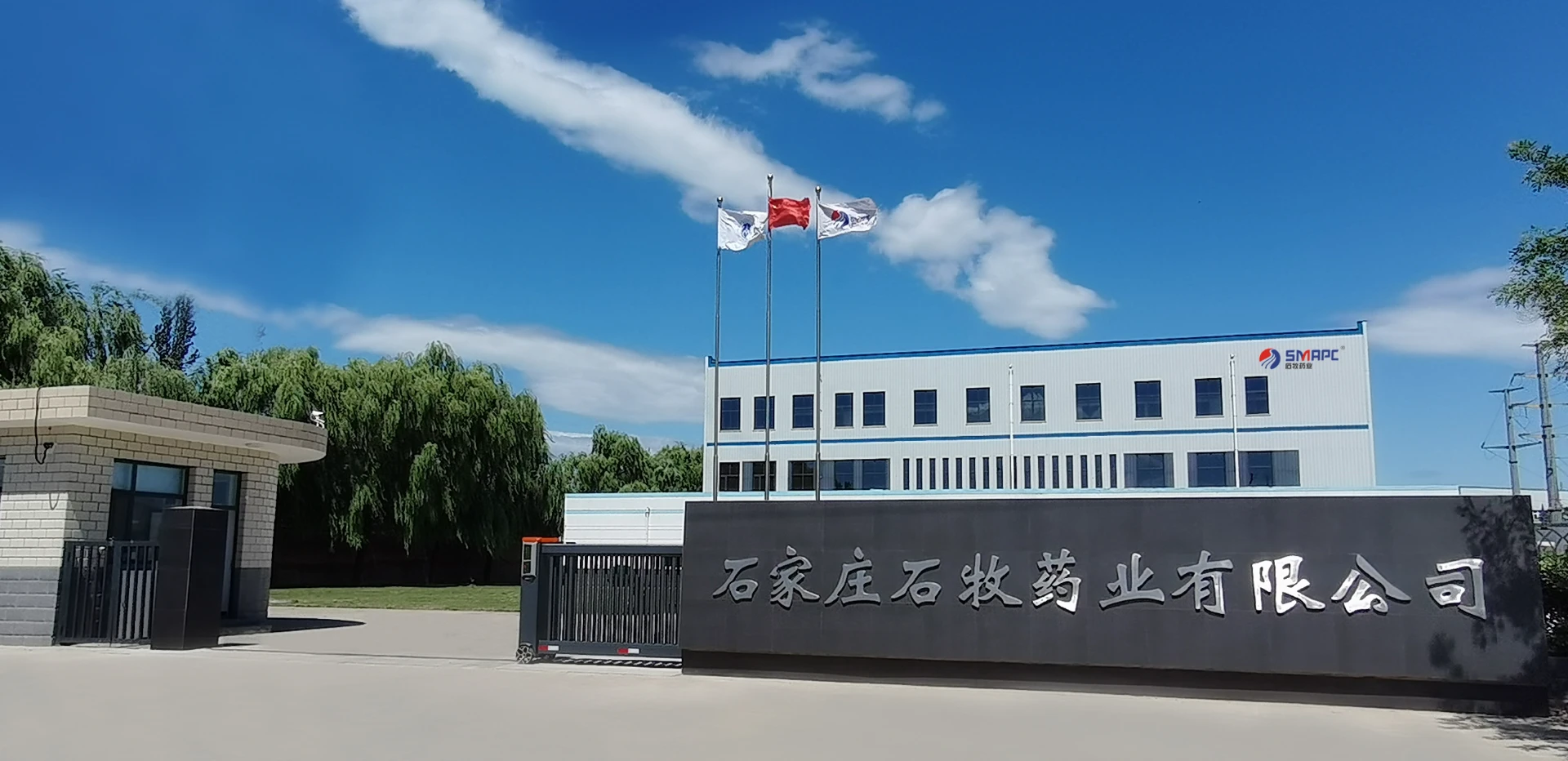 Effective Treatments for Puppy Diarrhea and Digestive Health Solutions