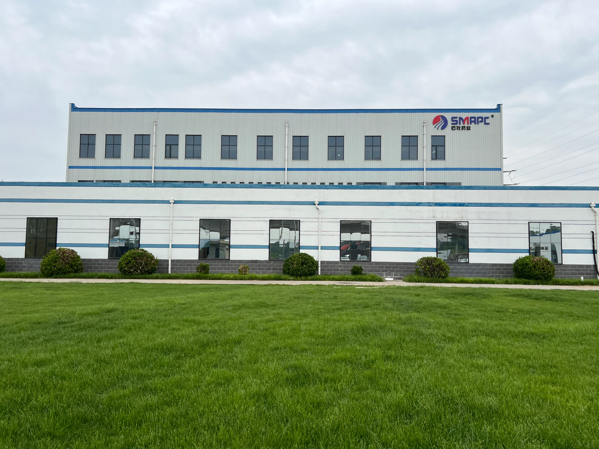 Innovative Approaches in Veterinary Medicine for Cattle Health and Wellbeing