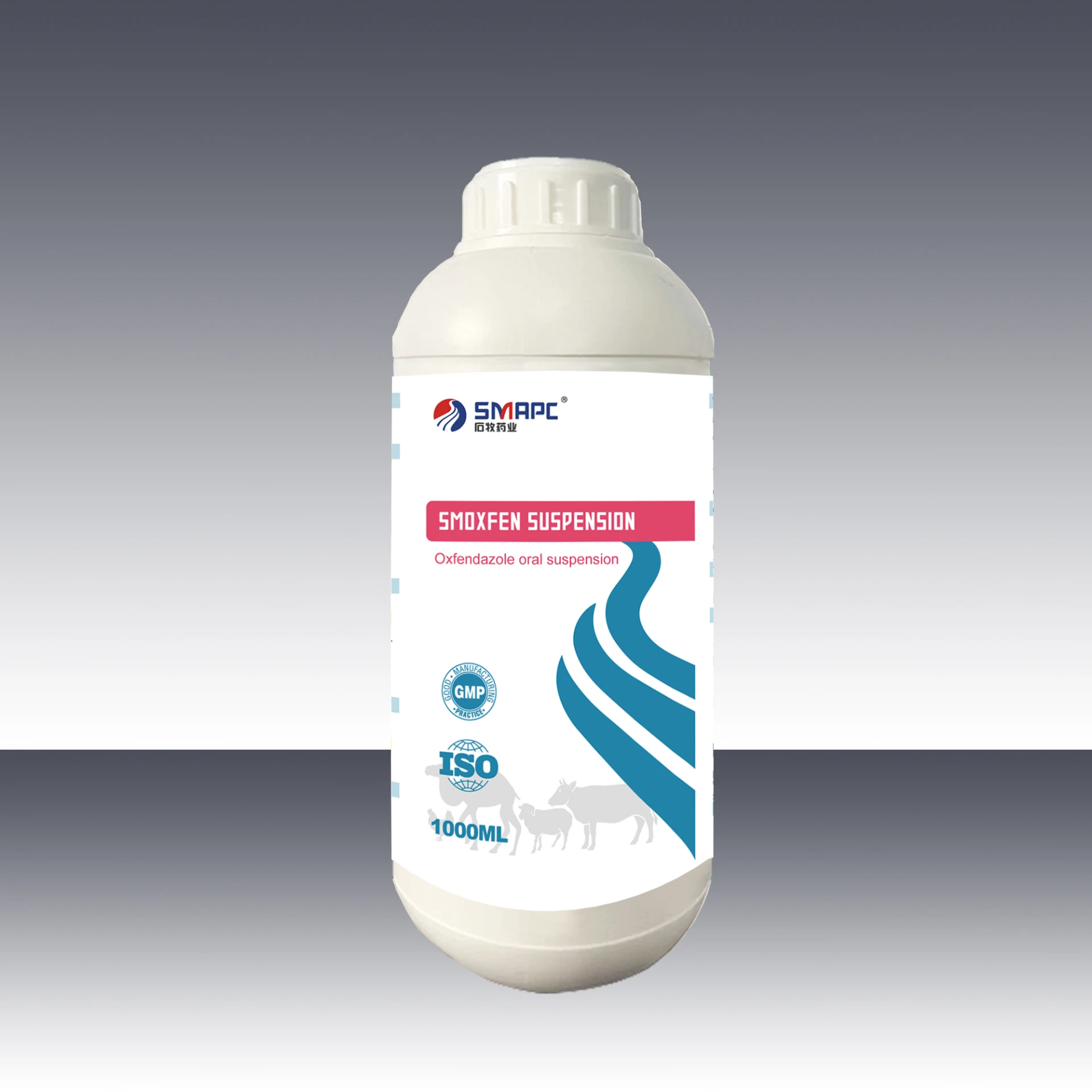 New Approach to Treating Megaesophagus in Canines for Better Health Outcomes