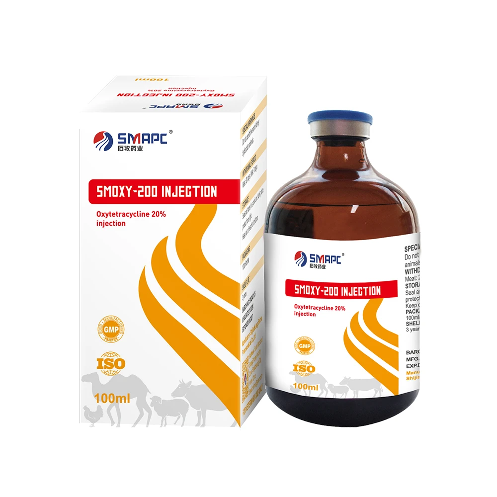 Effective Strategies for Treating Yeast Infections in Dogs Effective Strategies for Treating Yeast Infections in Dogs