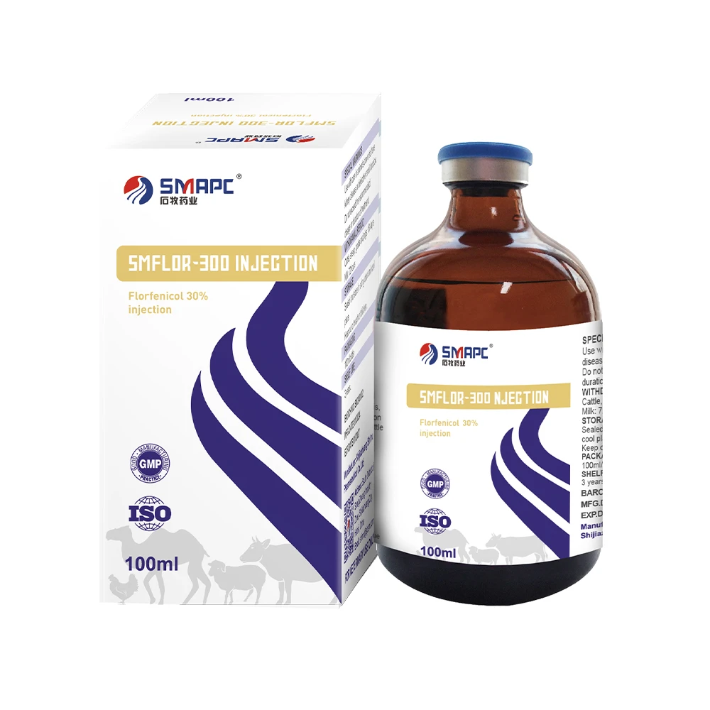 Amoxicillin Injection Use and Benefits in Treating Various Infections