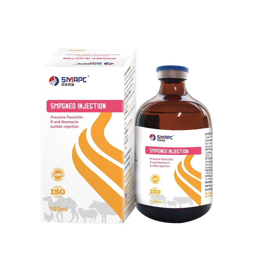 List of Common Dog Medications and Their Uses