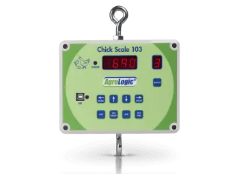 Exploring the Benefits of Essential Vitamins for Your Dog's Health and Well-being