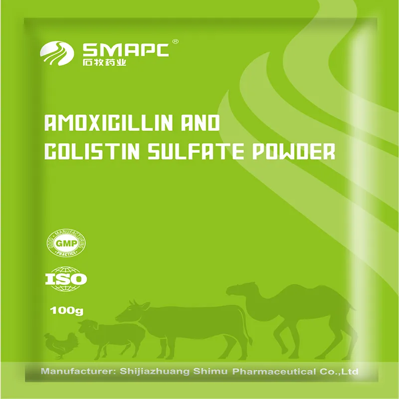 Best Anti-Nausea Medications for Dogs to Alleviate Discomfort and Aid Recovery