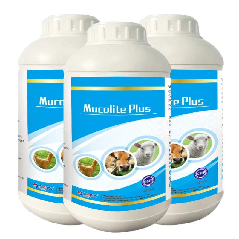 Effective Treatments for Poultry Health in Cold Weather Conditions