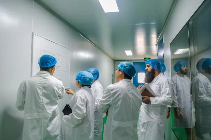 dog won t eat food with medicine