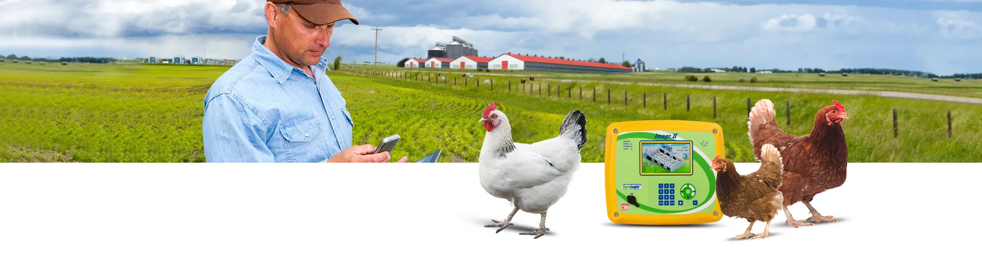 albendazole worm tablets