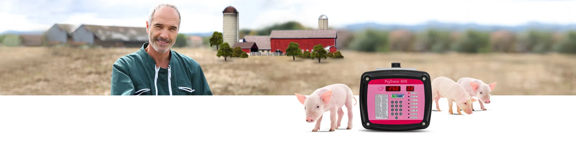 Using Permethrin Cream Safely for Your Dog's Skin Conditions and Parasite Control